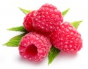 raspberryketone